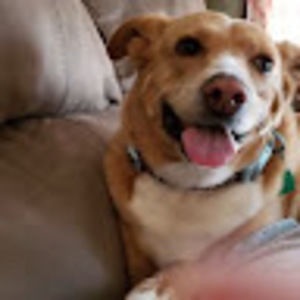 Meet your Posher, Kylee